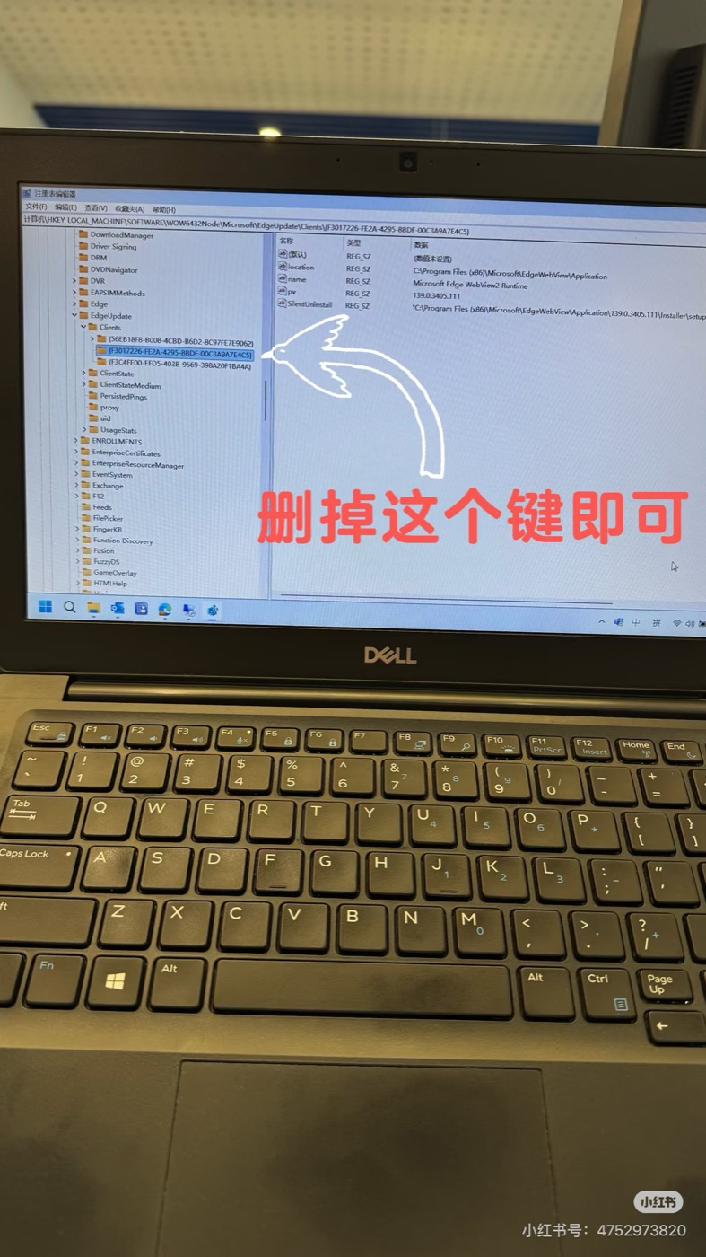 删除导致 webview 安装失败的注册表键值